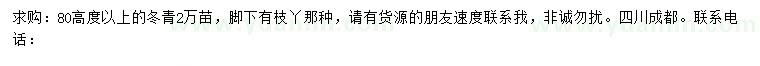 求購高度80公分以上冬青