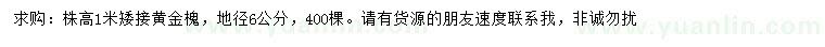 求購高1米黃金槐