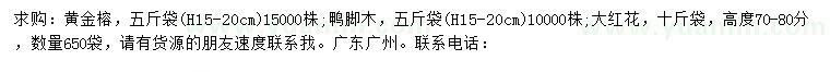 求購黃金榕、鴨腳木、大紅花
