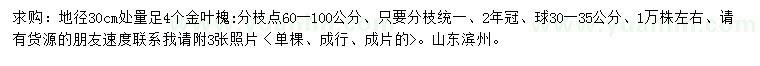 求購地徑30公分處量足4公分金葉槐
