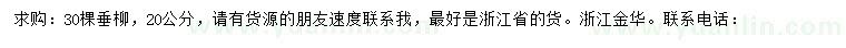 求購20公分垂柳
