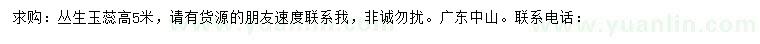 求購(gòu)高5米叢生玉蕊