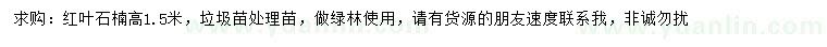 求購高1.5米紅葉石楠