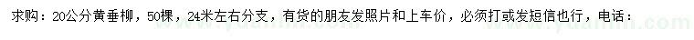 求購(gòu)20公分黃垂柳