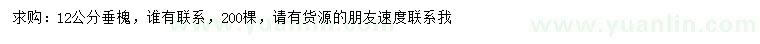 求購12公分垂槐