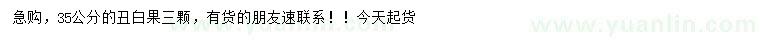 求購35公分丑白果