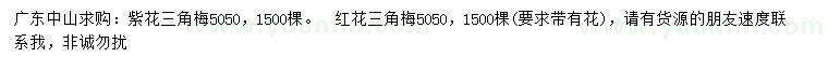 求購50公分紫花三角梅、紅花三角梅