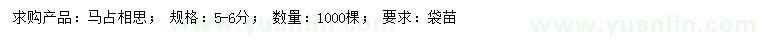求購5-6公分馬占相思樹