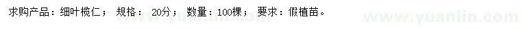 求購(gòu)20公分細(xì)葉欖仁