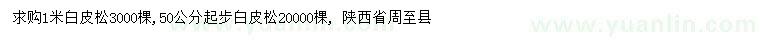 求購50-1米白皮松