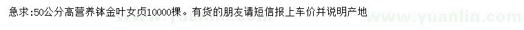 求購(gòu)高50公分金葉女貞