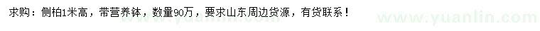 求購高80-1米側(cè)柏