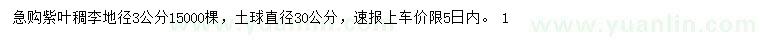 求購地徑3公分紫葉稠李