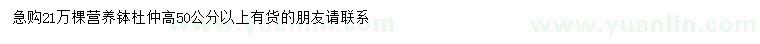 求購高50公分以上杜仲
