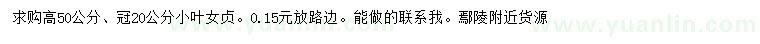 求購高50公分小葉女貞