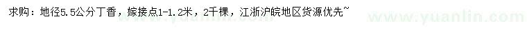 求購地徑5.5公分丁香