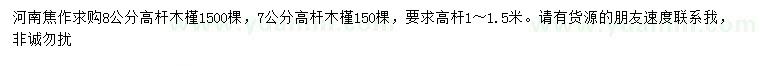 求購(gòu)7、8公分高桿木槿