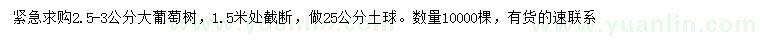 求購(gòu)2.5-3公分大蒲桃樹(shù)