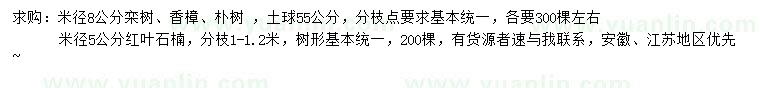 求購欒樹、香樟、樸樹等