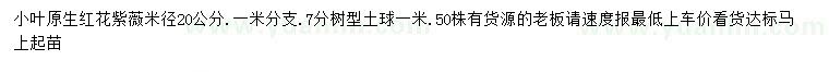 求購米徑20公分小葉紅花紫薇
