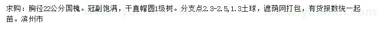求購胸徑22公分國槐