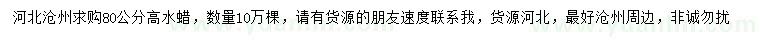 求購高80公分水蠟