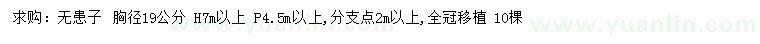 求購胸徑19公分無患子