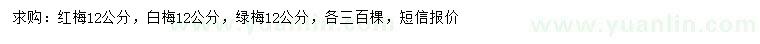 求購紅梅、白梅、綠梅
