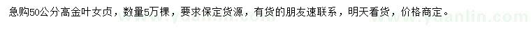 求購高50公分金葉女貞