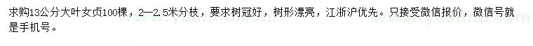 求購13公分大葉女貞