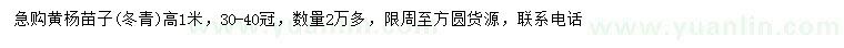 求購(gòu)高1米黃楊苗子(冬青)