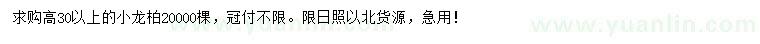 求購高30公分以上小龍柏