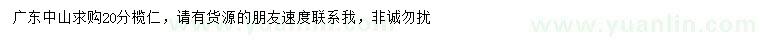 求購20公分欖仁