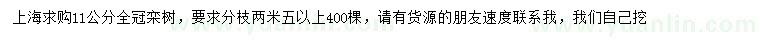 求購11公分欒樹