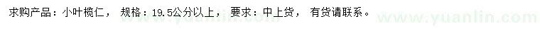 求購(gòu)19.5公分以上小葉欖仁