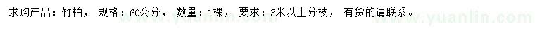 求購60公分竹柏