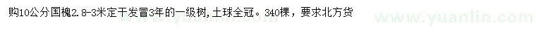求購10公分國槐