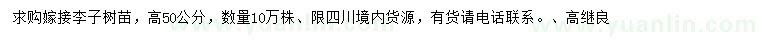 求購高50公分李子樹苗