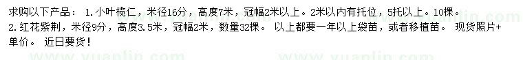 求購(gòu)米徑16公分小葉欖仁、9公分紅花紫荊