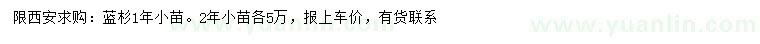 求購藍(lán)杉小苗