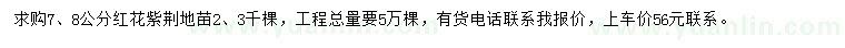 求購7、8公分紅花紫荊