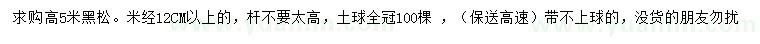 求購高5米黑松