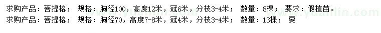 求購胸徑70、100公分菩提榕