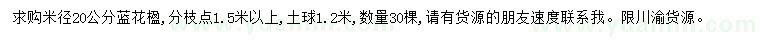 求購(gòu)米徑20公分藍(lán)花楹