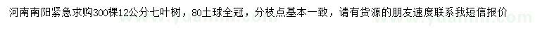 求購(gòu)12公分七葉樹(shù)