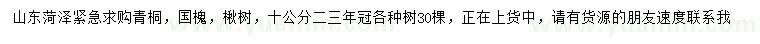 求購(gòu)青桐、國(guó)槐、楸樹(shù)