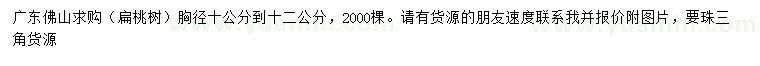 求購(gòu)胸徑10-12公分扁桃樹