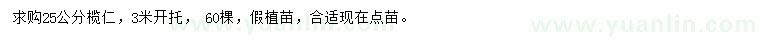 求購25公分欖仁