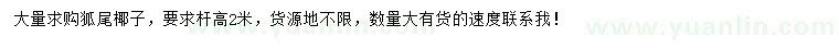 求購高2米狐尾椰子