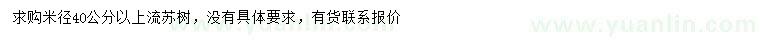 求購米徑40公分以上流蘇樹